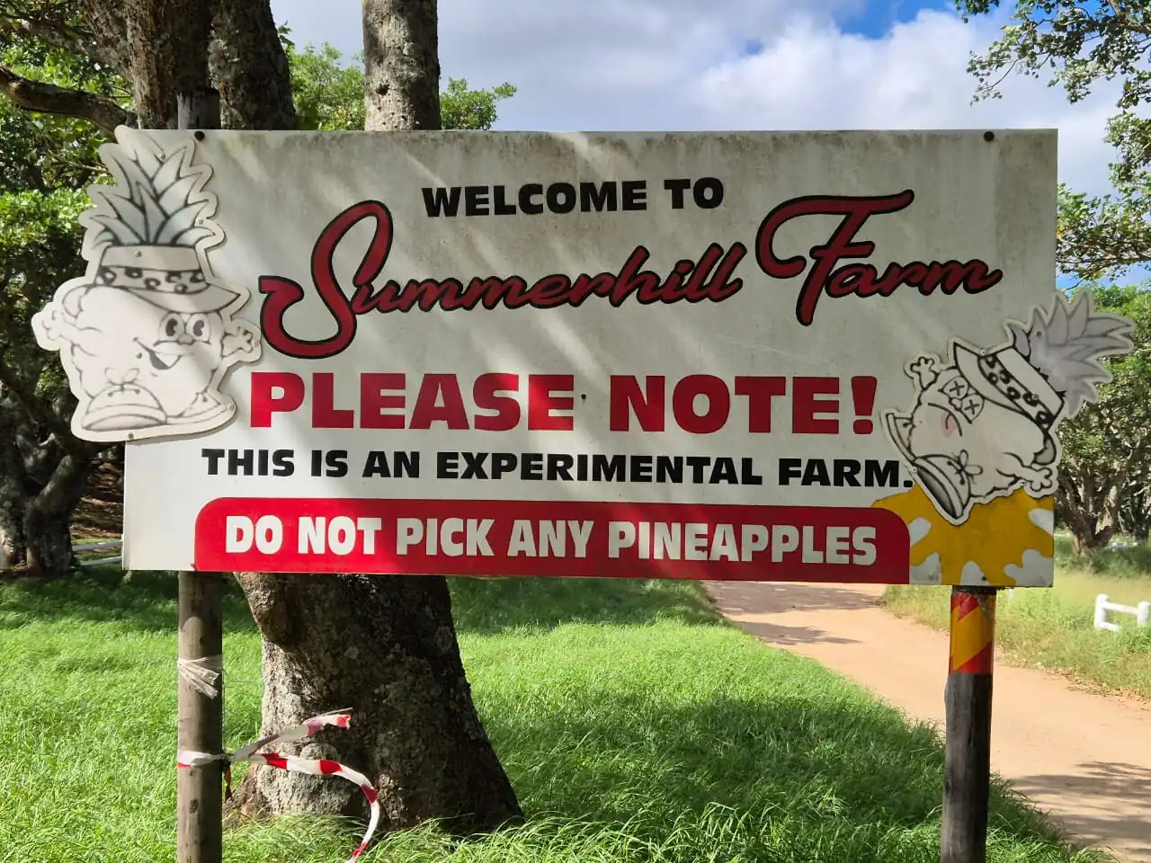 8d2d112b Cee0 436e 9d28 613a32838ec0