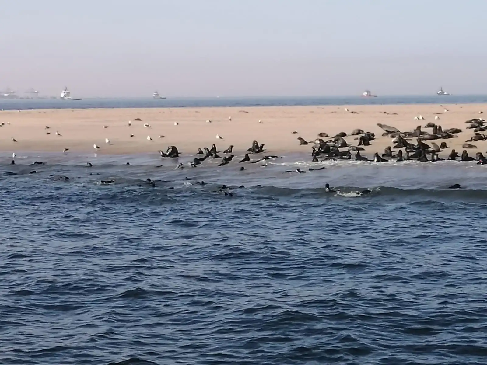 8d79009a Bc4e 40af B414 7be53012cf11