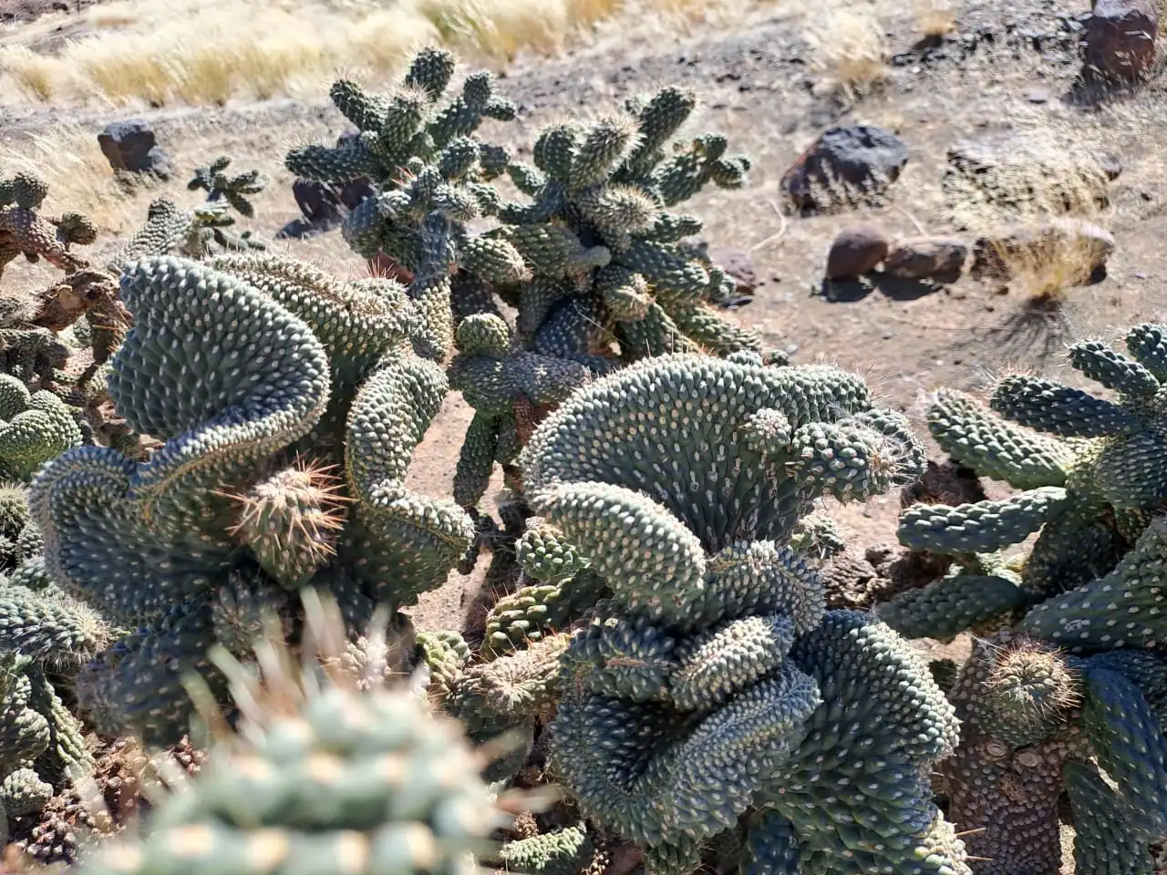 8fd4cb84 6665 405e 981b 54b9e6a9cc03