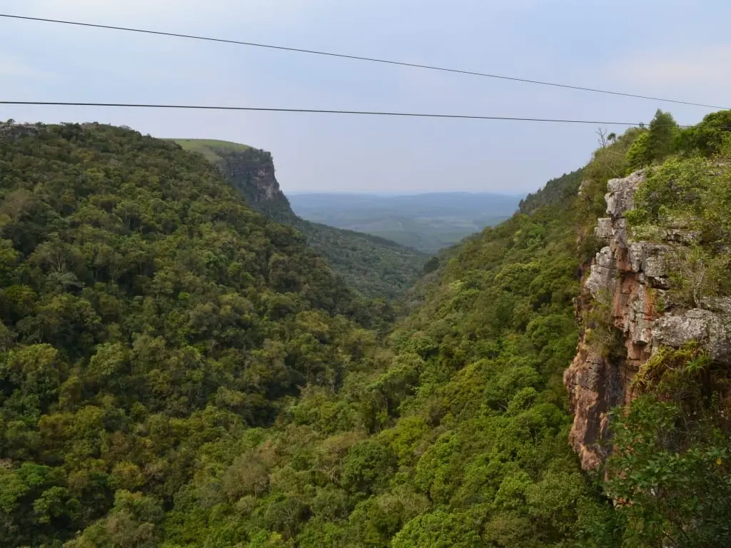 94873581 Cd3d 431b 80ac 77fb158a3fcb