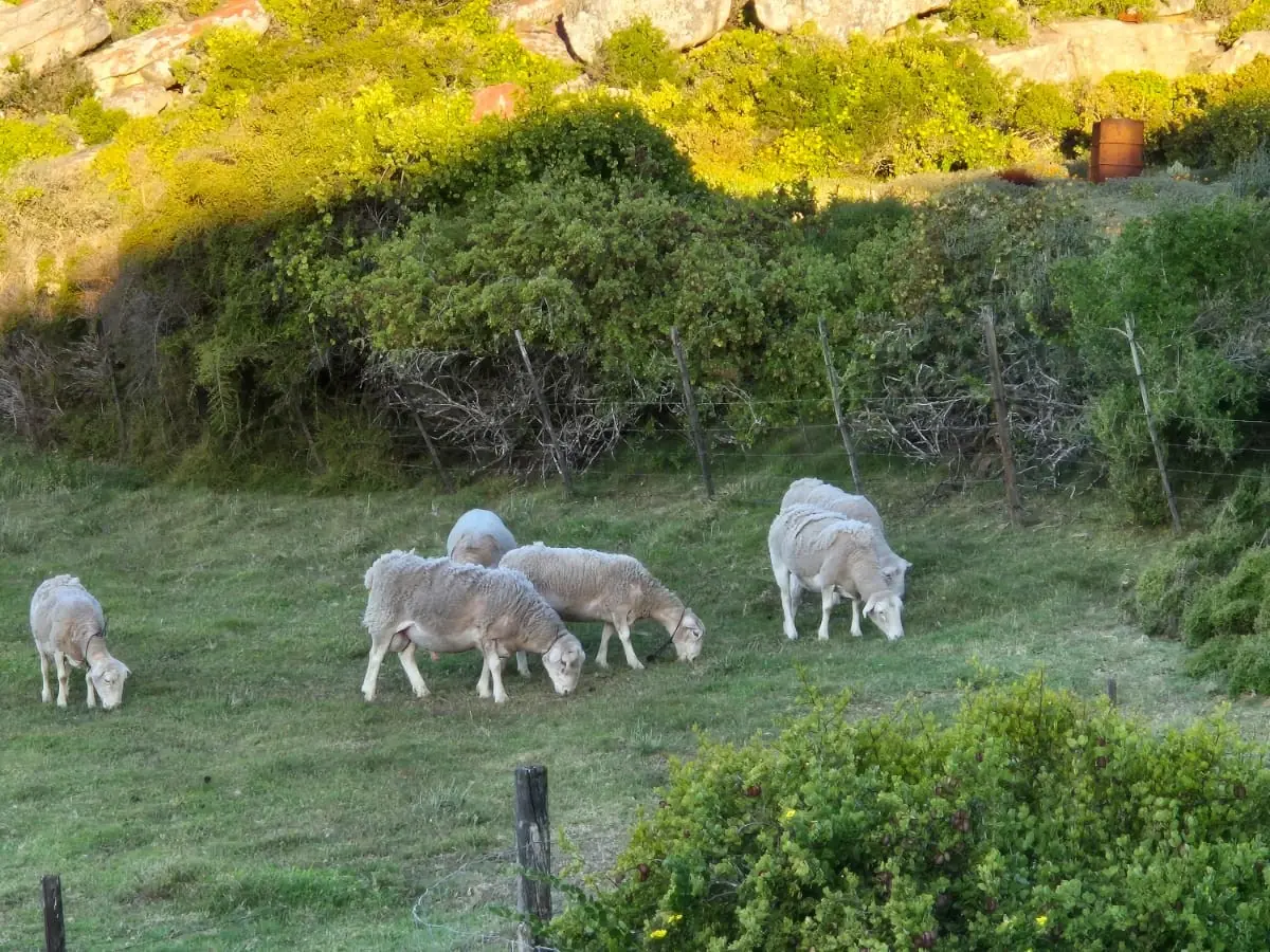 95664285 Dafc 4319 961b Ae3a17049050