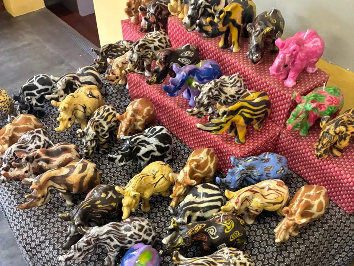 9853e314 68c8 4de2 A19a Ad56f7ab4ffb