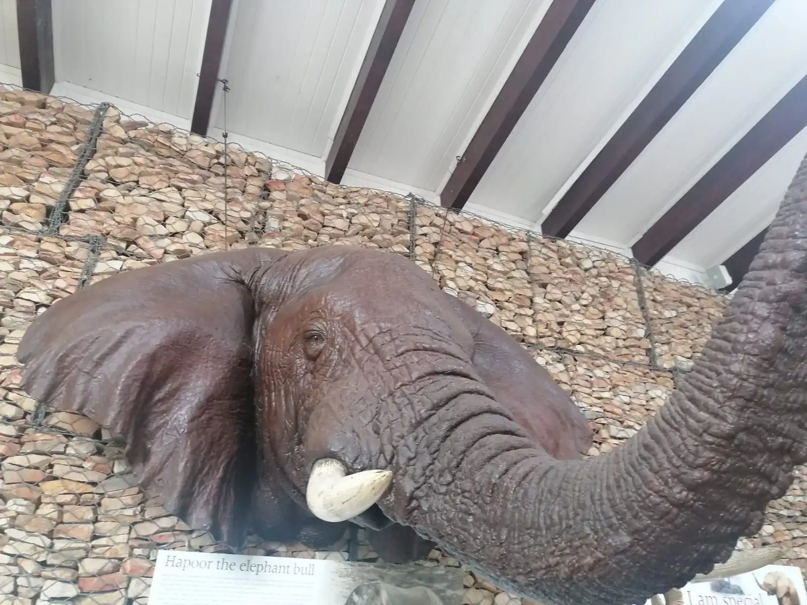 9d176576 08e4 402d Ad35 604308a26688