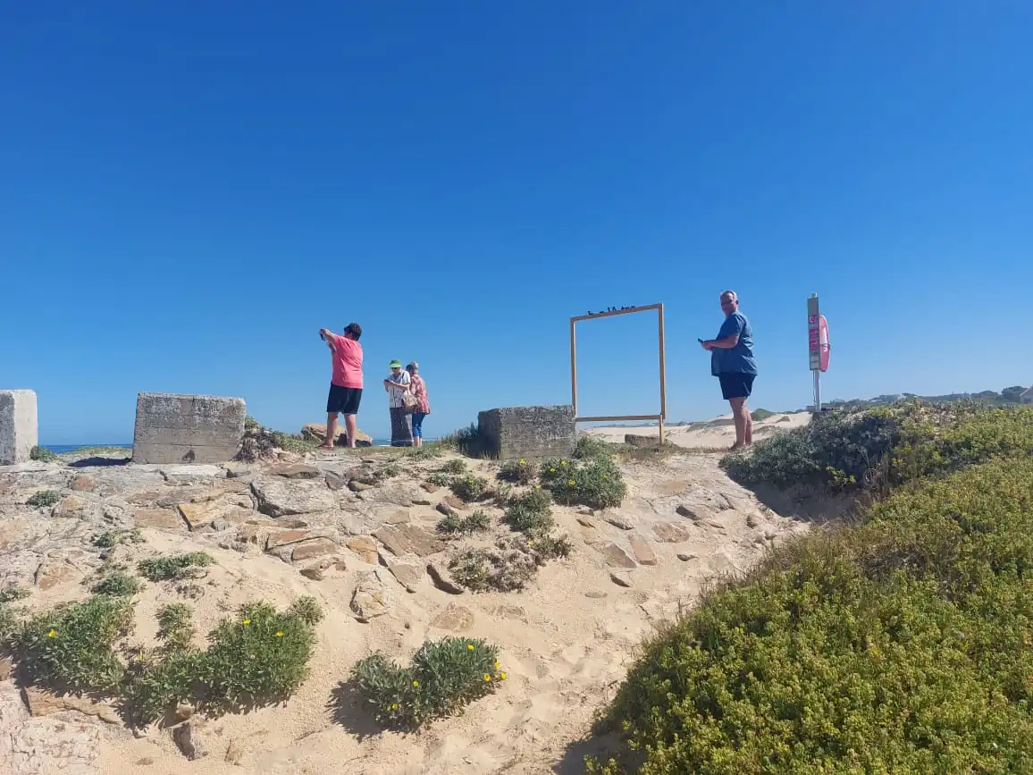 9f66cf12 Fcf0 4157 B94a 437eb6342d72 1