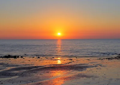 Savanna Tours South Coast Tour South Africa