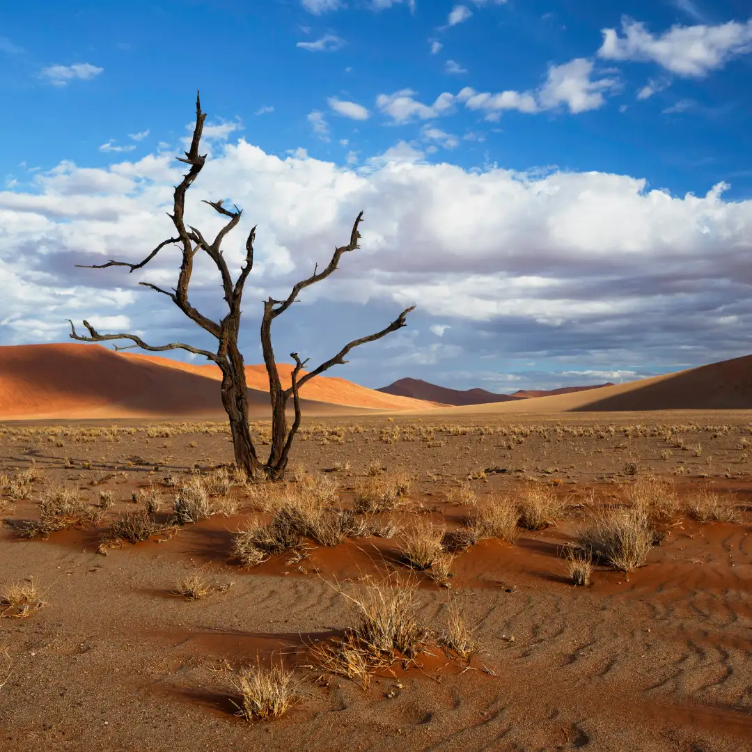Sossusvlei Tour Namiba Mobile Sossusvlei Tour Namiba Mobile