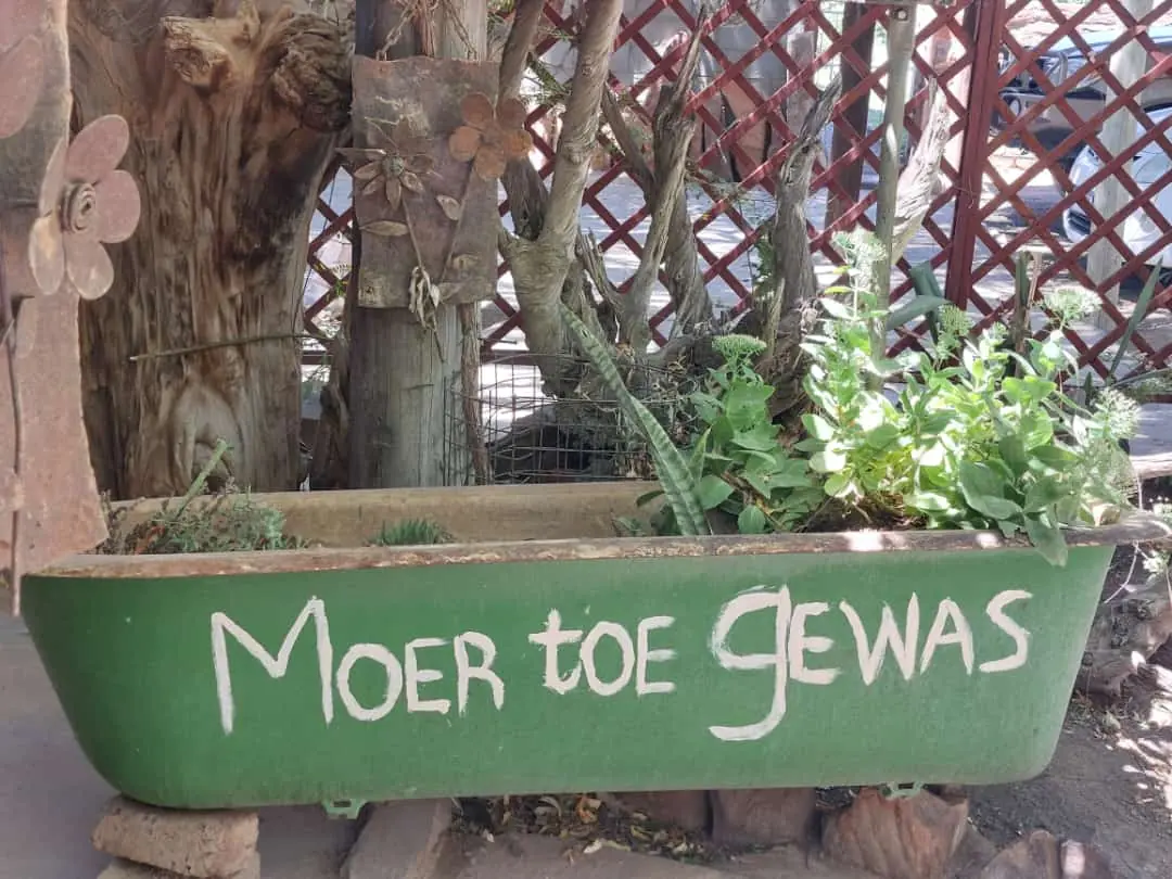 A0ca3033 Dbaf 43ef Ad4a 6e8ae8f6db39m 1