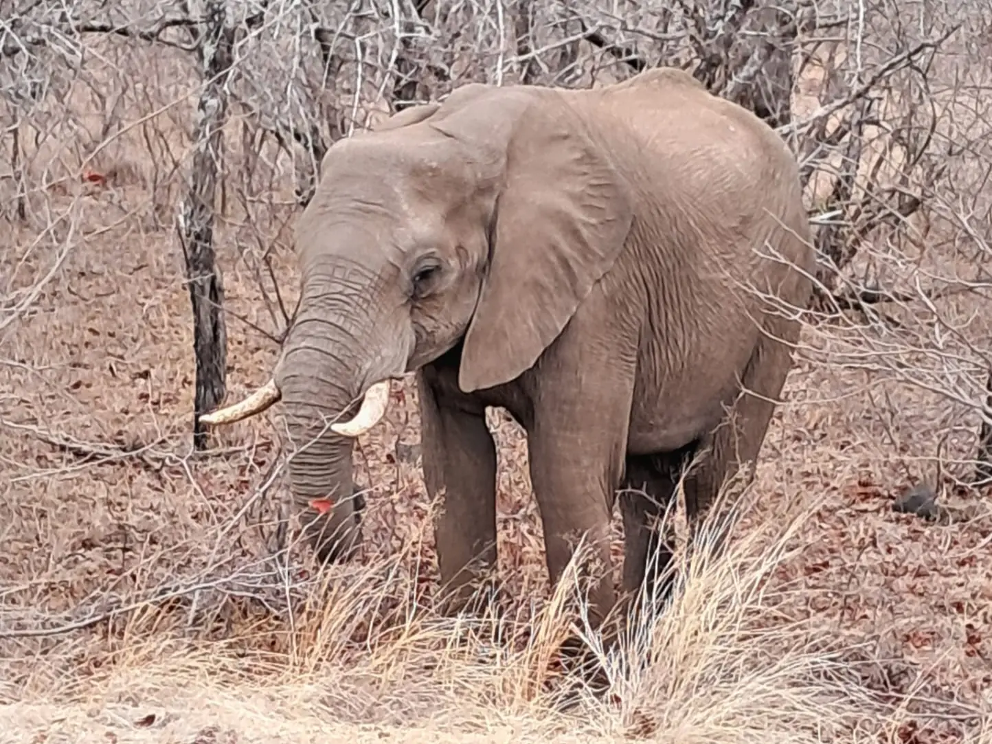 A1bd2255 8e45 48f7 A721 011ec1ead5da