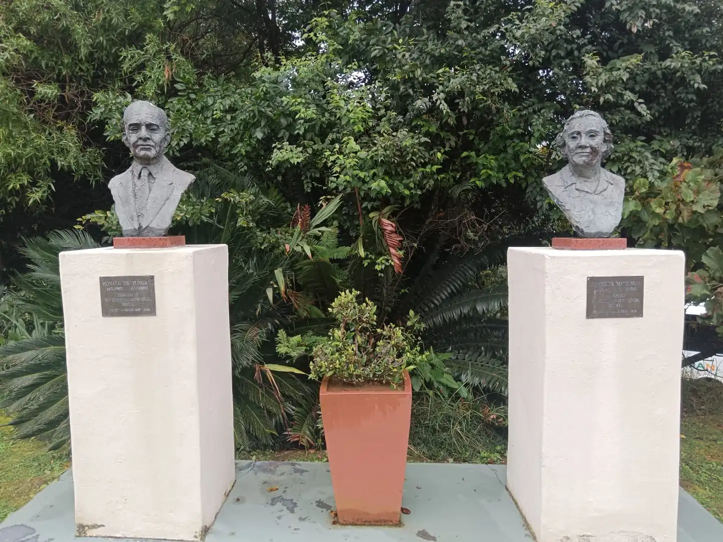 A509c450 509f 49ec 8c9c Ec3085cfc9a1