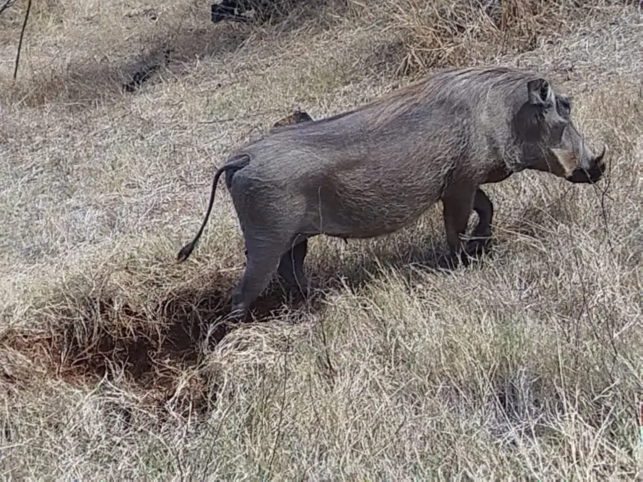 A6b4e51d Fbfa 4871 Bfe1 A20fd7ec51fb