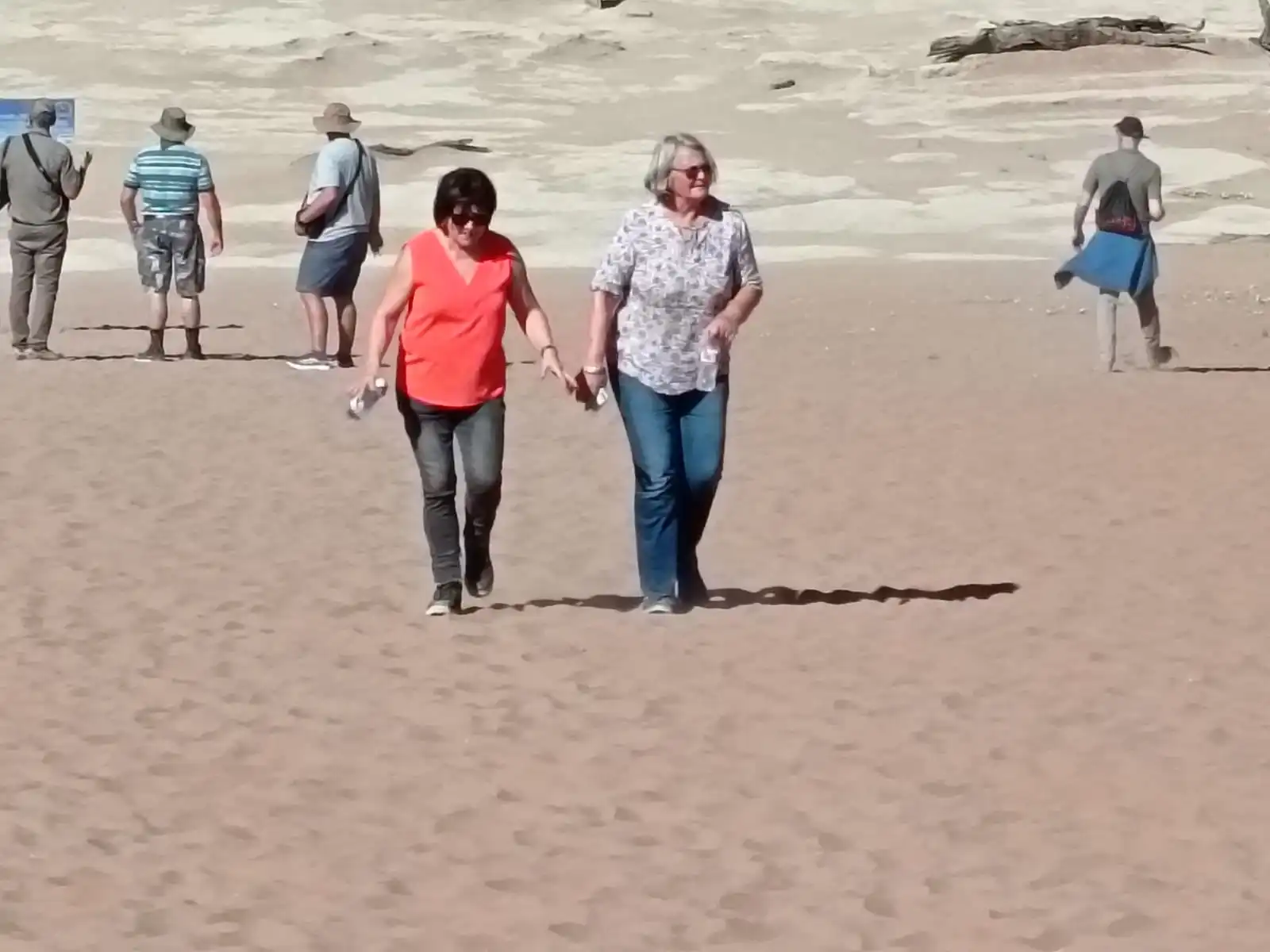 Afe5c148 727b 4584 9999 0117b0b41072