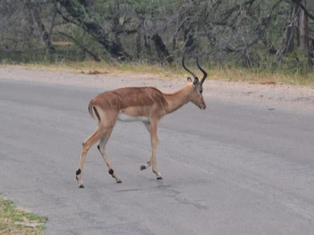 B5e72254 D86b 448c 99ef F407d01d5634