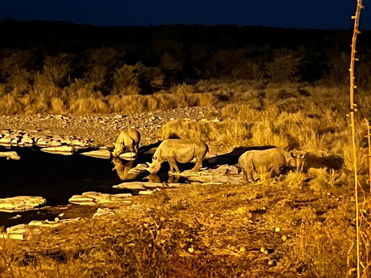 Bca686b2 E75a 4d0d A54b 72f82933567c