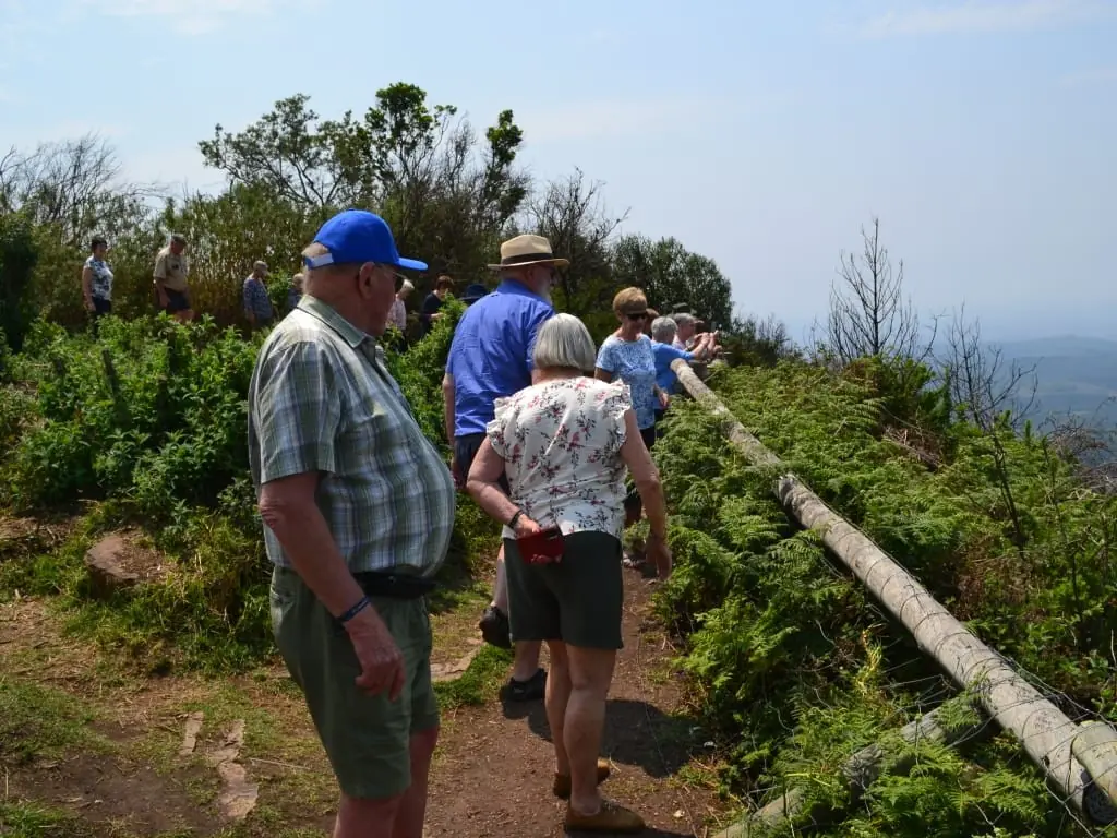 Bf42cd9f 1120 497a 8fee 3ca3d5ea1e33