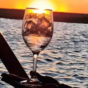 Boat Tour Savanna Tours Boat Tour Savanna Tours