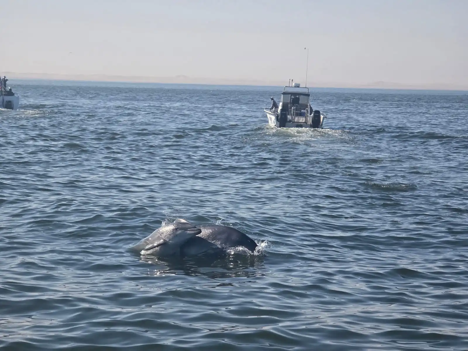 C051c5f2 4102 4115 8e25 45c29089d2c9