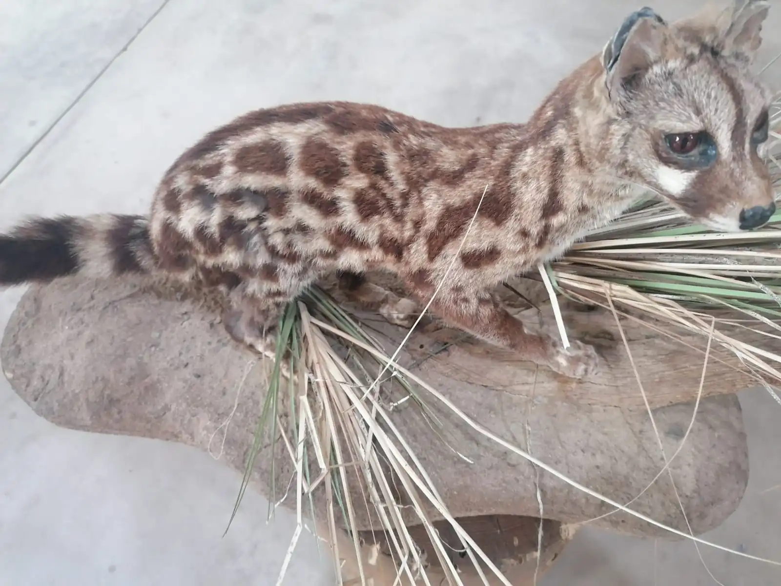 C1d63bb5 1e7a 4692 Bfda F04ed3da39d9 2