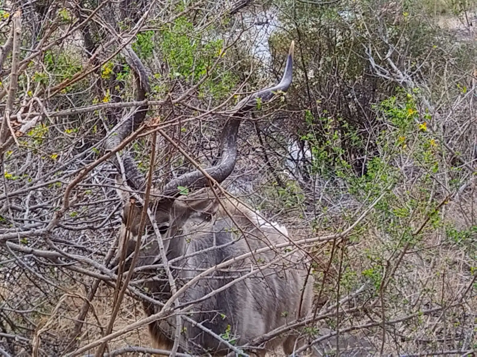 C78e663d 909e 41b1 9ed8 0a98ebc3d499