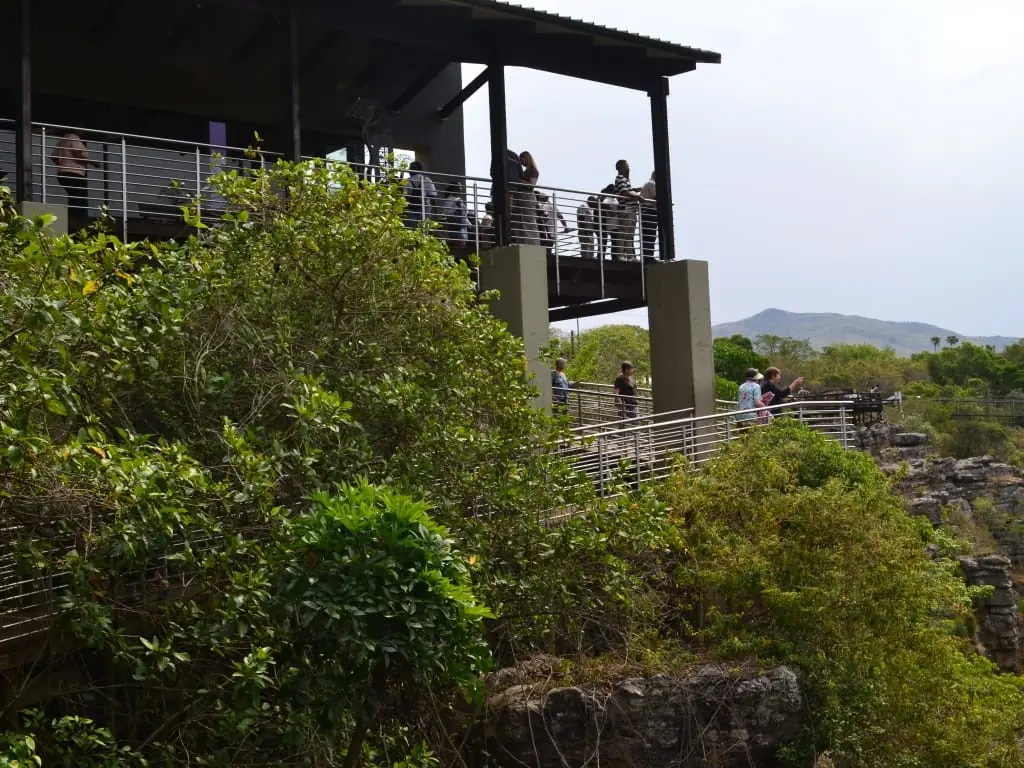 C8932d03 9b79 4ec9 94d0 Ac36814168c0