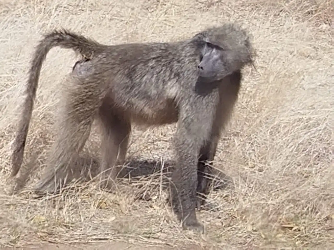 Ca526c47 6292 48da 849d 18bd23df7d02