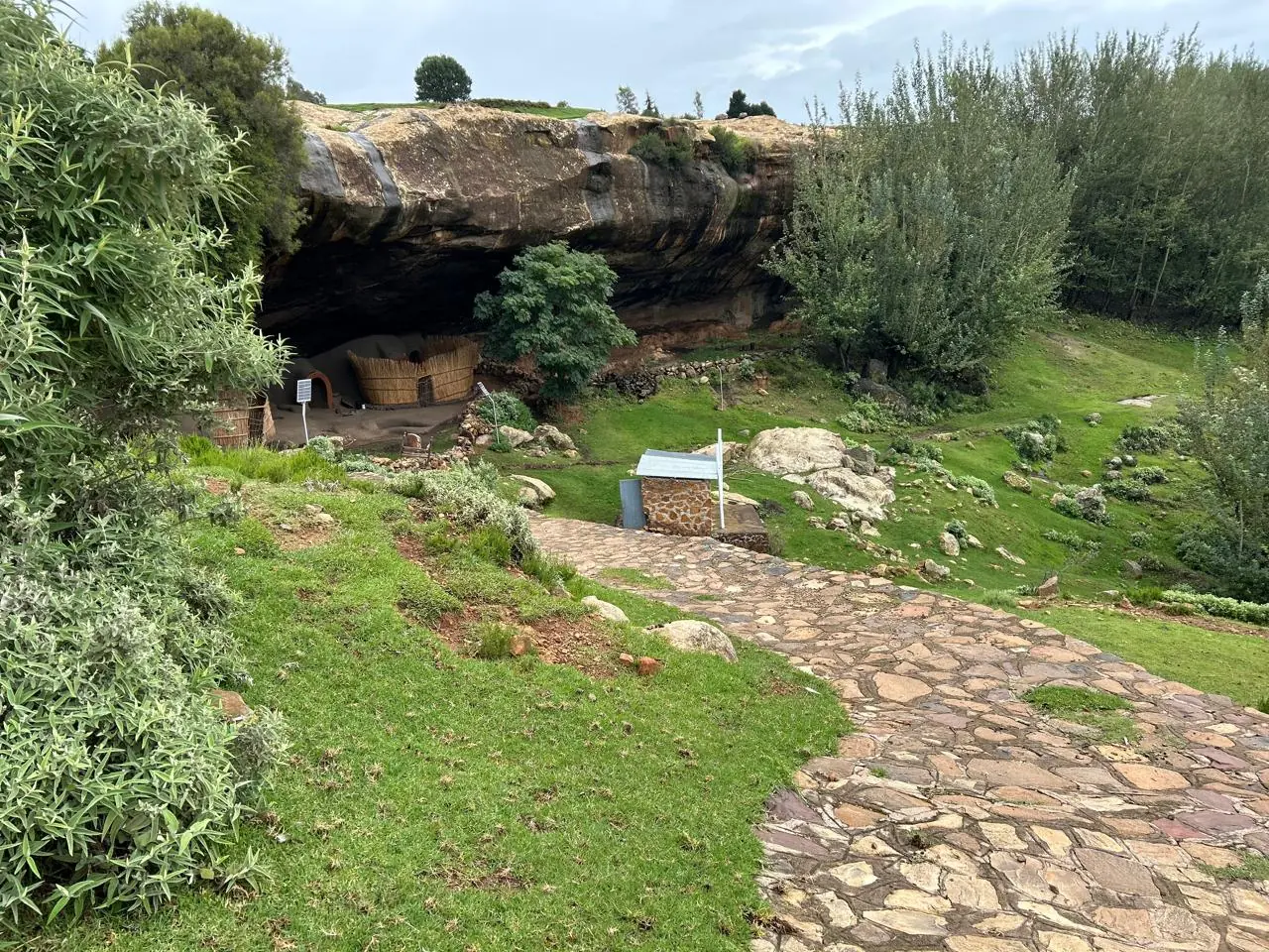 Cacf0c09 F5de 47d4 Bd88 Cc7d12af529b