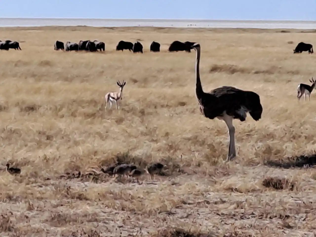 Cff0ea02 Fad8 4899 B5ca Aa0ecf6dc888