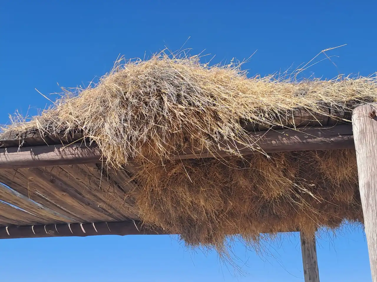 D02ef67e 3d29 4552 96a9 3f1942952170