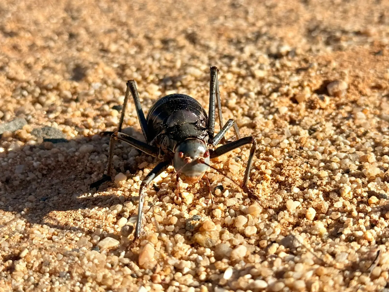 D0ec4fc9 1b15 4c5b 8cd3 397b0208406c