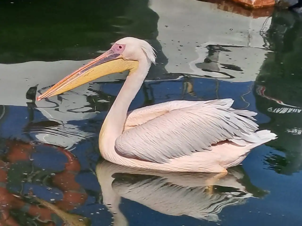 D23a701a E170 460a A022 A488b434554f