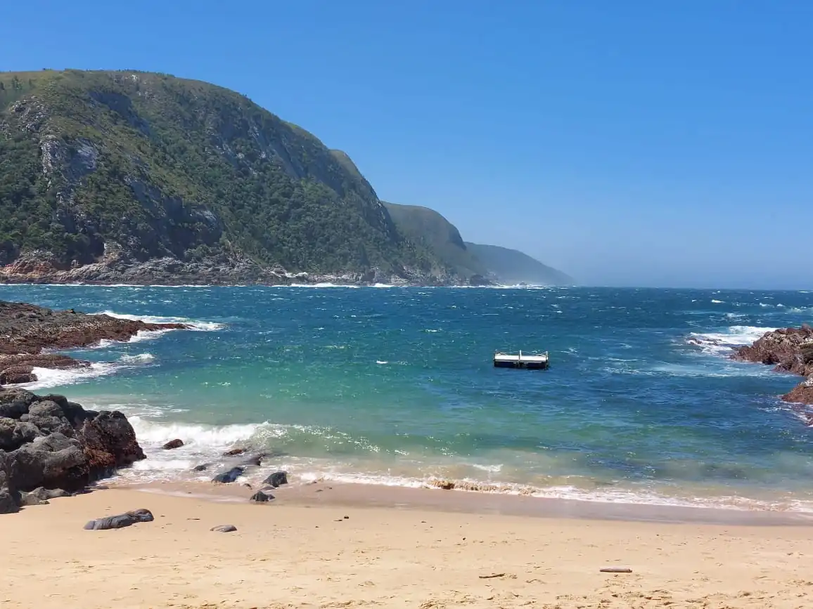 D35123a4 98a7 40c5 9726 103d3761608d