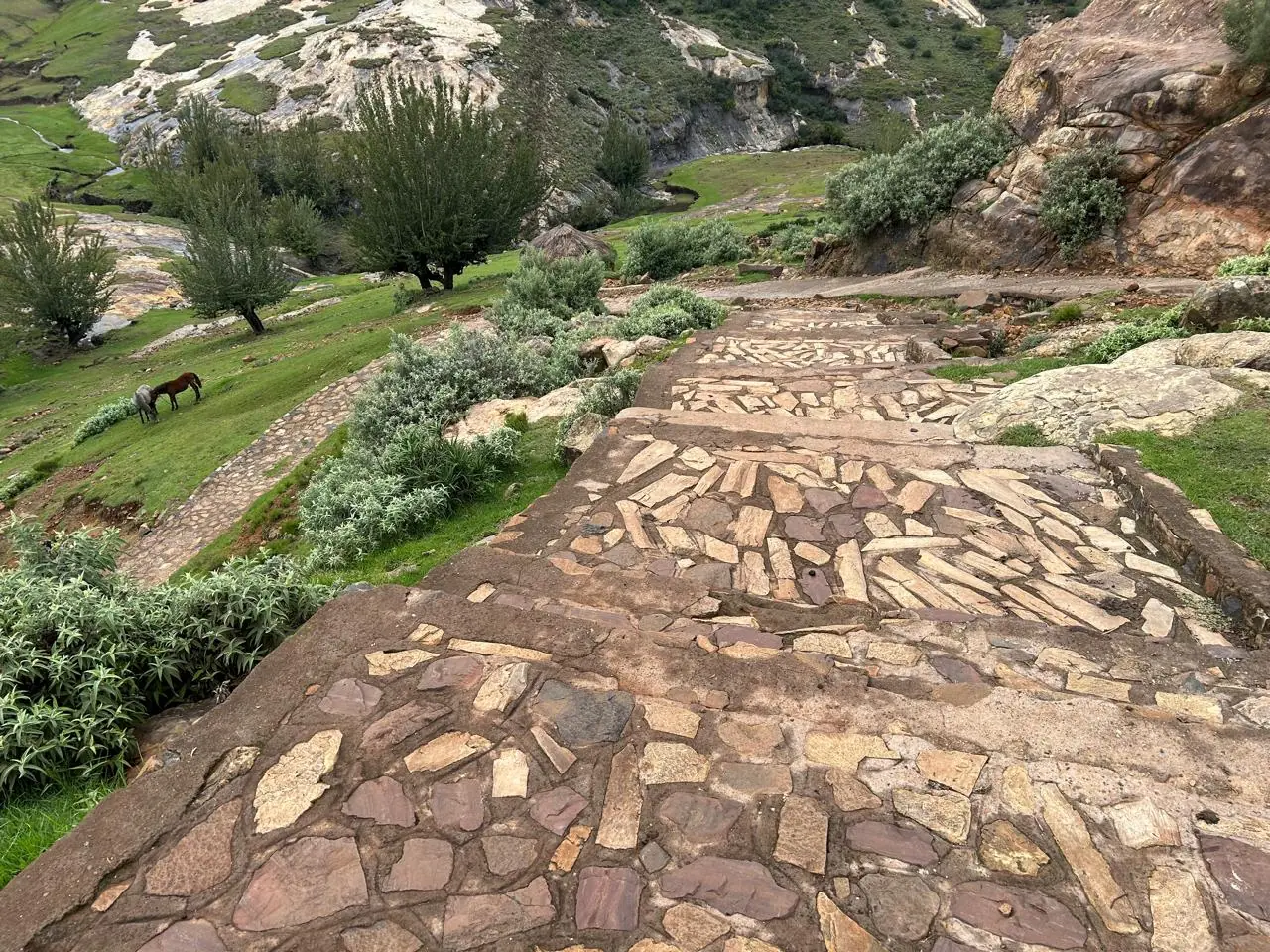 D684bafc C7e4 4e4b B3d4 211f18d55fd7