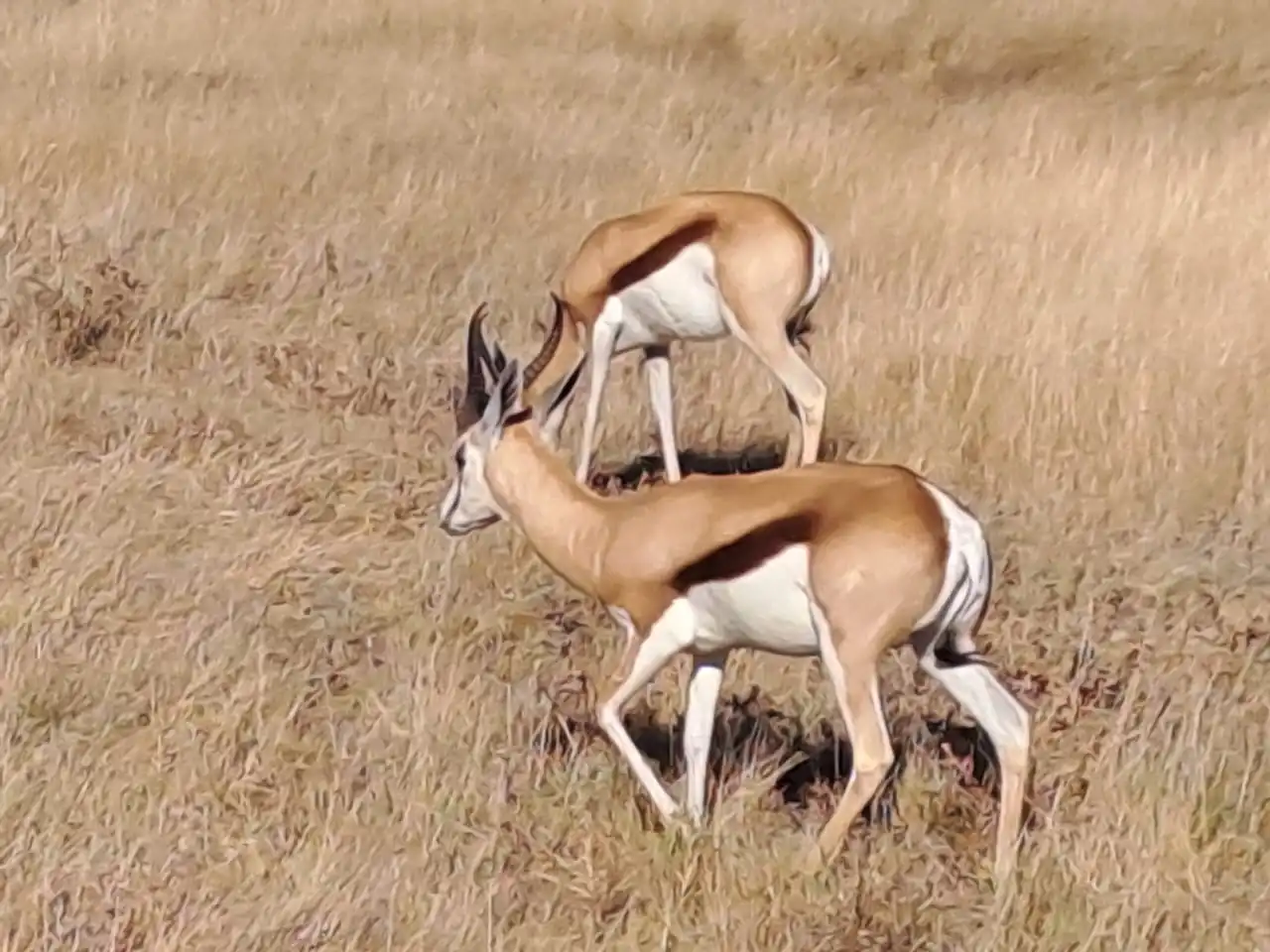 D73bccfa 8b3f 4c36 830b 9a0045011f14