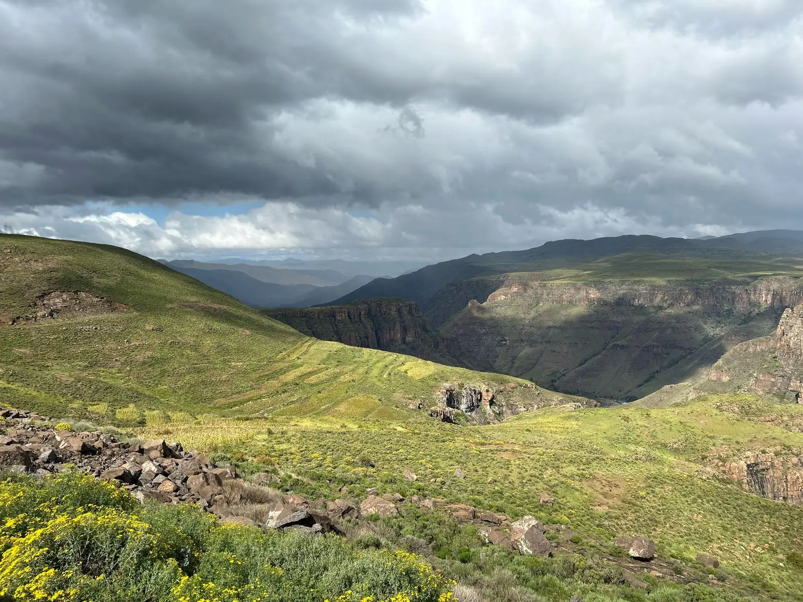 D7b3e948 E633 4bdc 8d31 C3bc95d25016