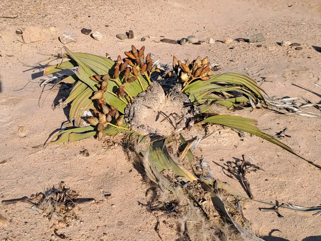 D7e82817 4754 47e1 9c3e 3ed6ddc0819a