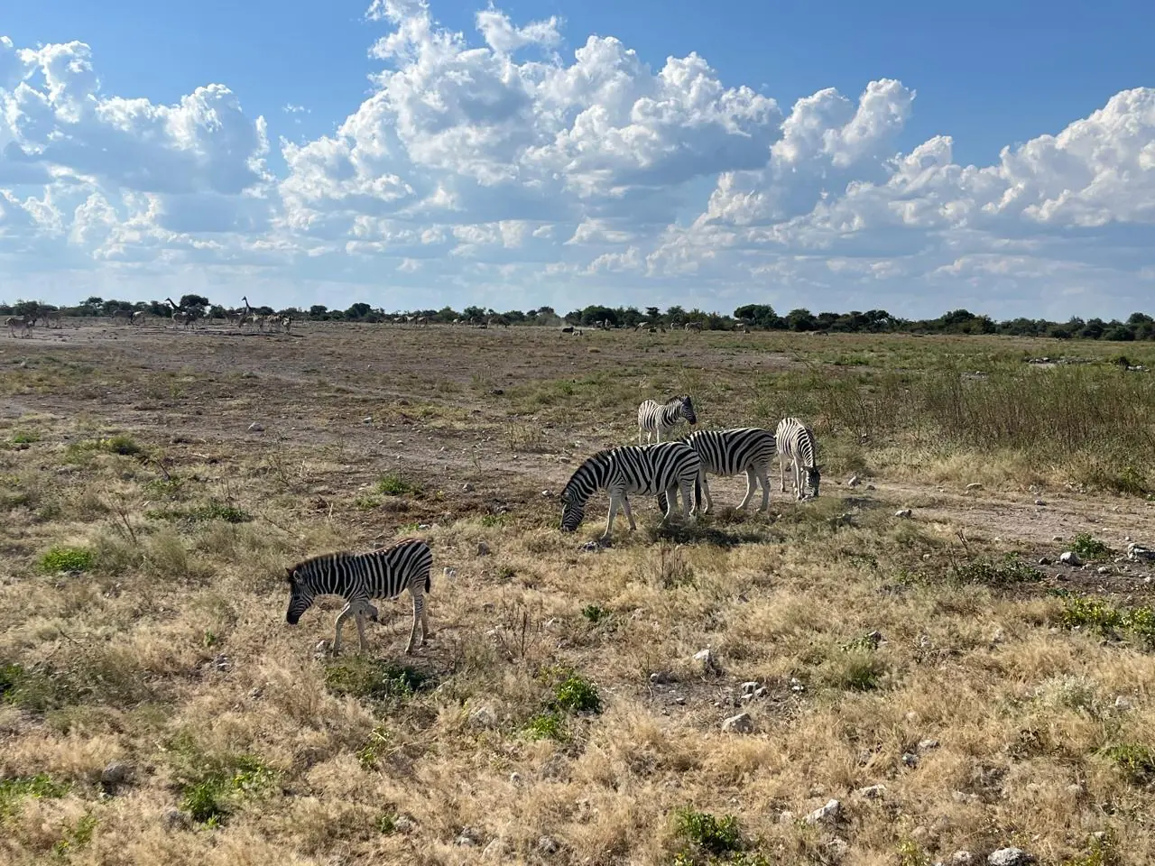 Deea07a9 Ba54 469f 8581 Bf7ced24f67b