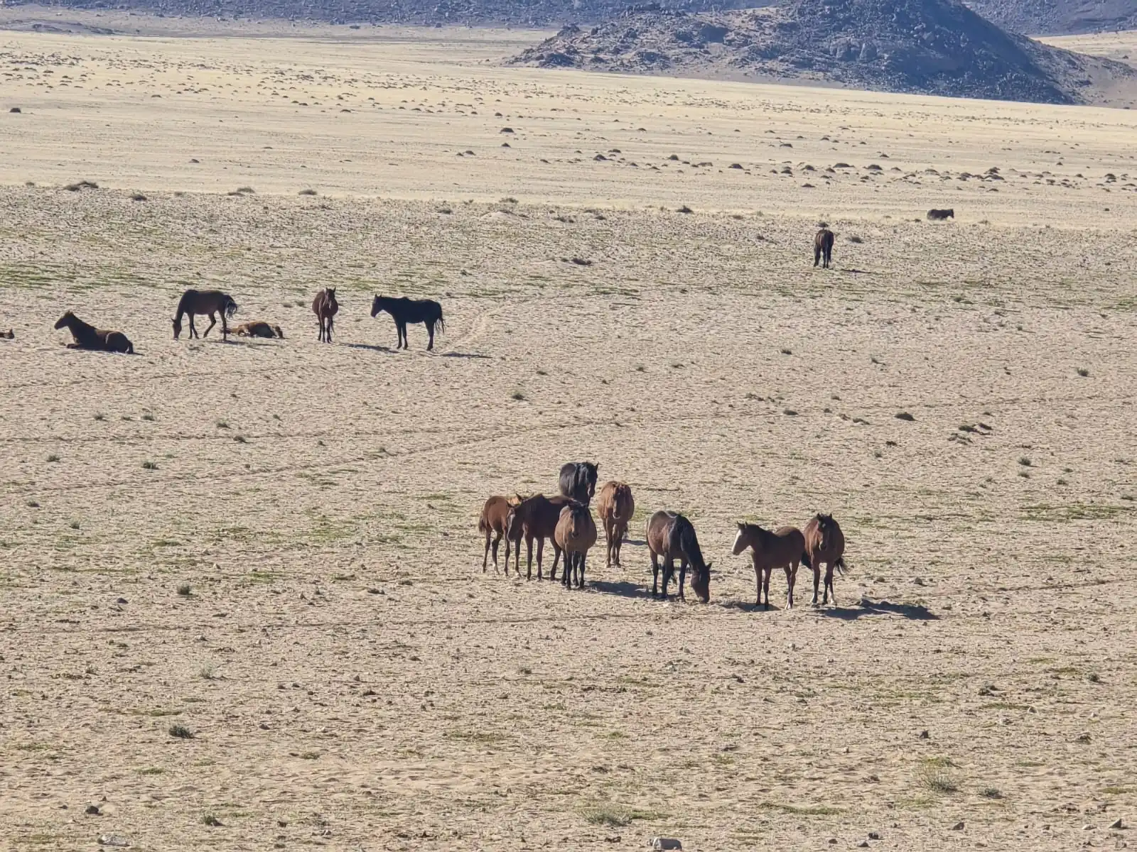 Dffd97dd Df81 4cfd Aac3 C1374f860b17