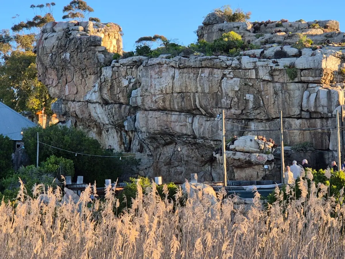 E1591ce6 3321 4415 9a2f Ce0671fd9366