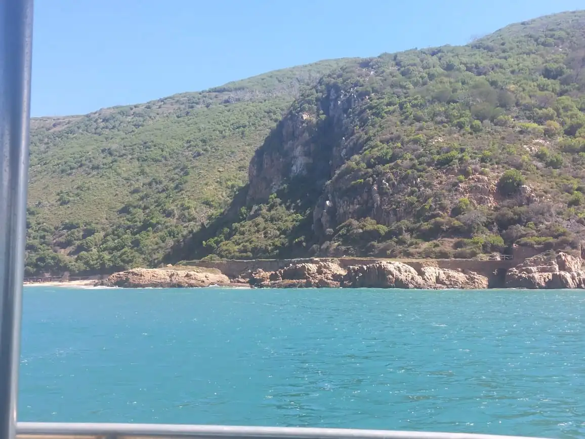 E4461543 B609 4a6f Ab22 D042d348a191 1