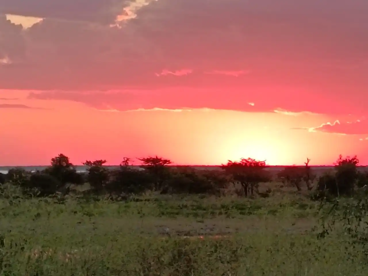 E8eed71d Bed7 49e5 Acc1 7b49782cf24c