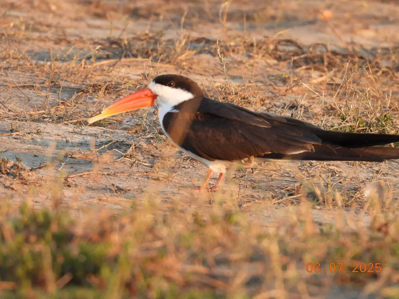 F062e526 Caa3 46b2 Ae09 3a206d9bf766