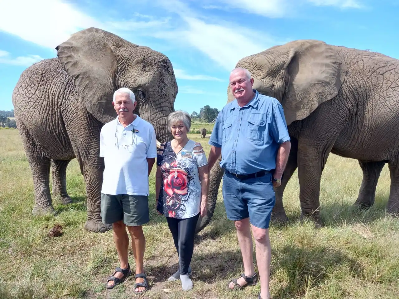 F0914ec0 205b 4d1c Bbd7 449744862e43 1