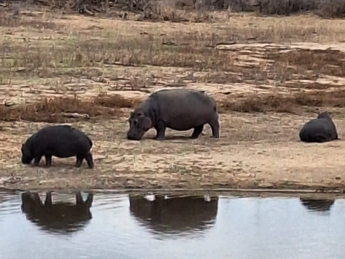 F0e222fd 3343 4d76 B768 32770b4b55e9