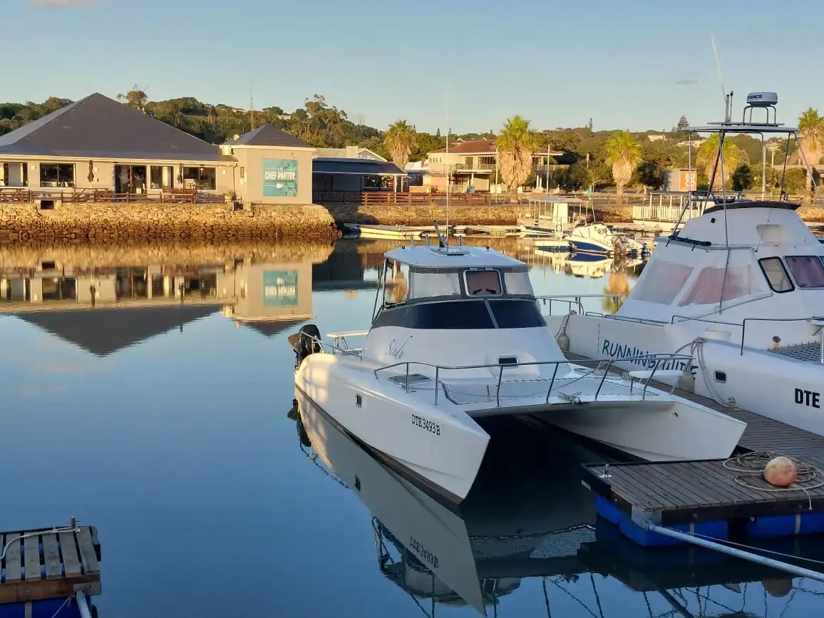 F2074df0 63b6 41c3 A21f C0dfd0074f97