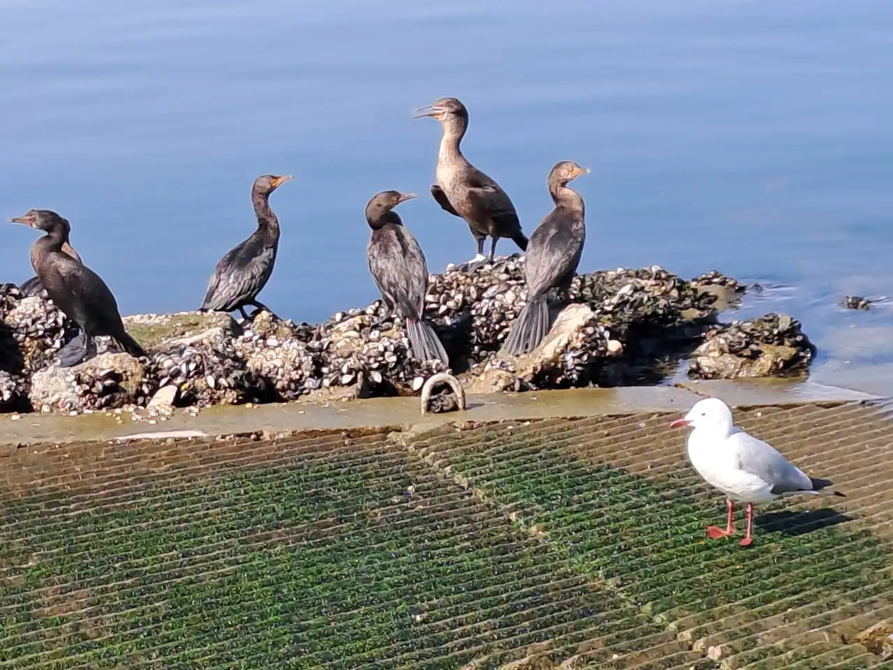 F3796646 778f 4ed5 Ae06 478d9173cb73