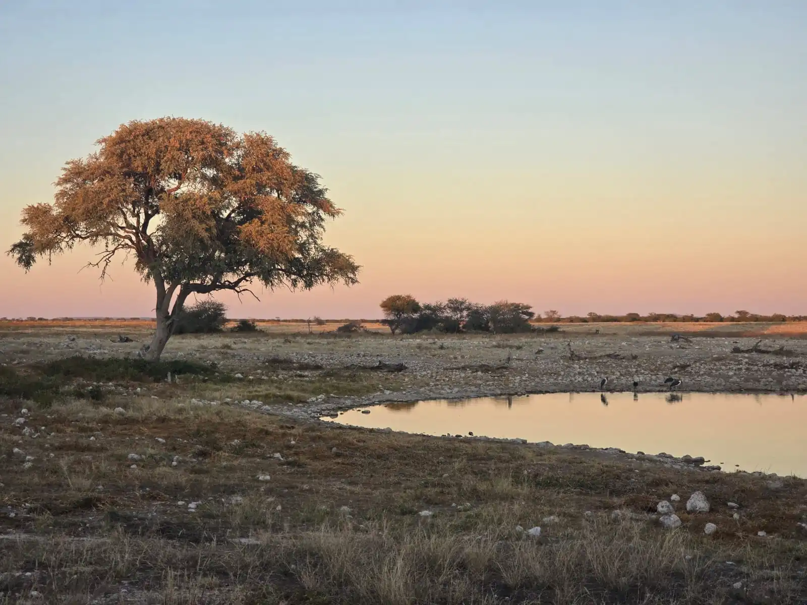 F4476b1d 082b 43b9 8e1e Eb6105a7baf9