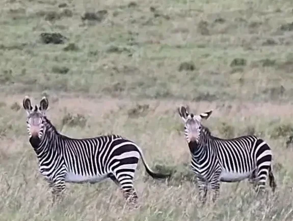 Fbe59aa1 3b91 4ee1 A3f6 64b50782d1b8