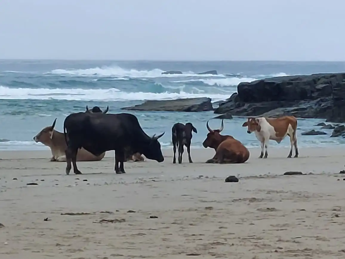 Fe3ec760 965f 4e0c 8d86 B6fab73687de