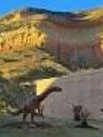 Picture5