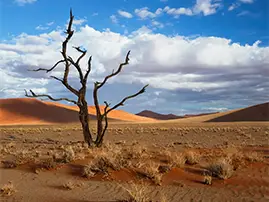 Sossusvlei Tour Namibia Sossusvlei Tour Namibia