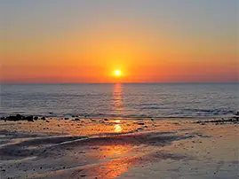 South Coast Tour South Africa South Coast Tour South Africa